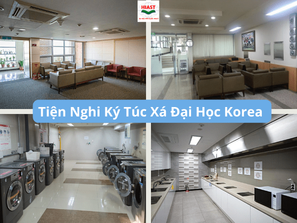 Đại học Korea Hàn Quốc 