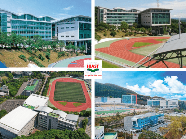 Trường Đại học Yongin