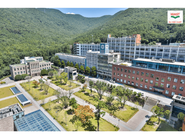 Đại Học Dong-A Hàn Quốc