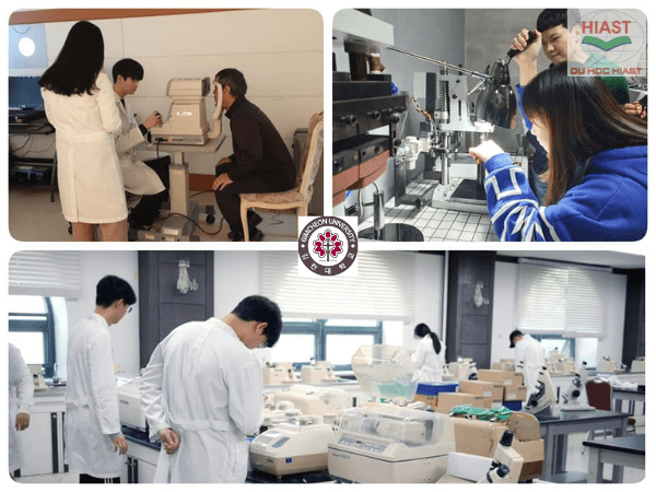 Đại Học Gimcheon Hàn Quốc