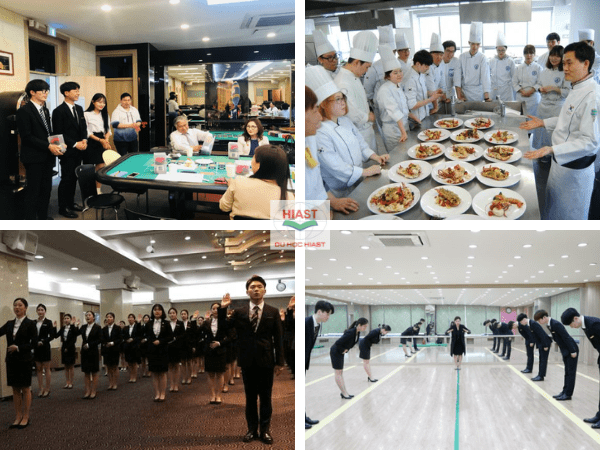 Du học Hàn Quốc học ngành gì dễ xin việc