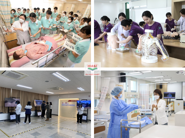 Những nghề lương cao ở Hàn Quốc