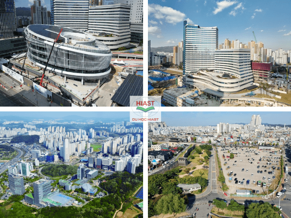 Các trường Cao đẳng ở miền Bắc Hàn Quốc