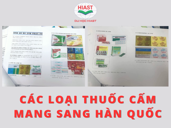 các loại thuốc cấm mang sang hàn