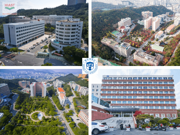 Đại Học Dongeui Hàn Quốc