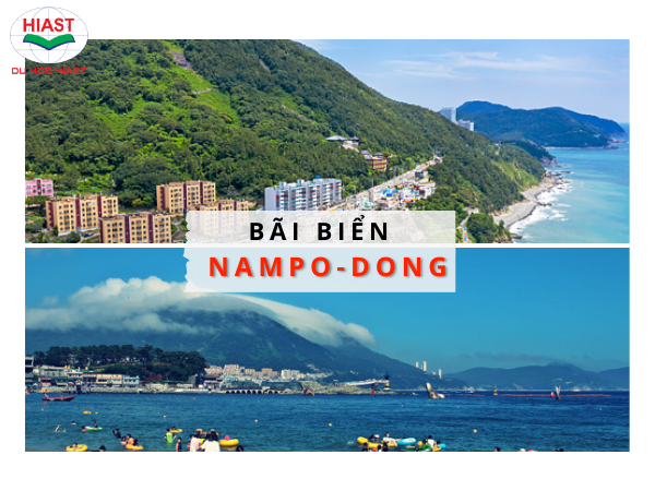 thành phố busan có gì