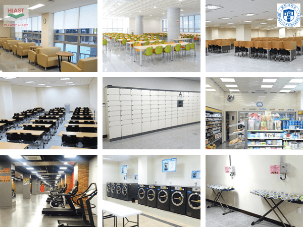 trường Đại học Dong-Eui hàn quốc