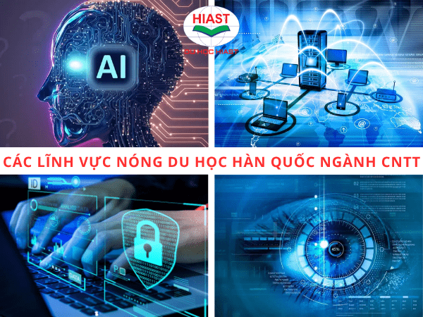 Con trai nên du học ngành gì ở Hàn Quốc