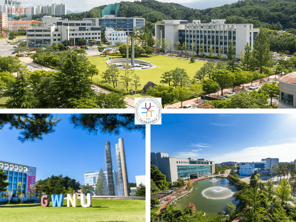 Đại Học Gangneung Wonju