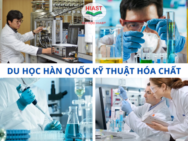 Đại học Kaist
