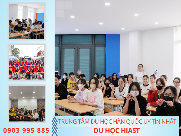 Du học Hàn D4-1 là gì