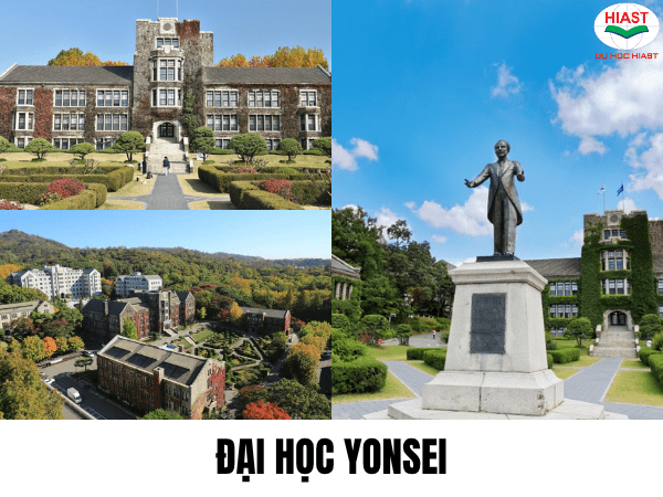 du học hàn quốc ngành kinh tế đối ngoại