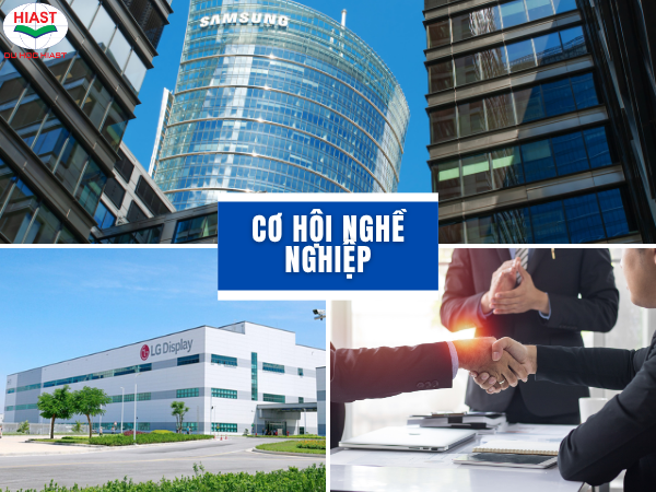 du học hàn quốc ngành kinh tế