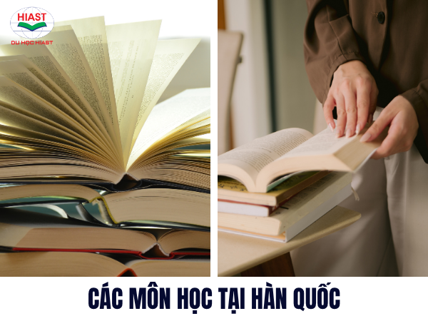 học bổng du học hàn quốc ngành kinh tế
