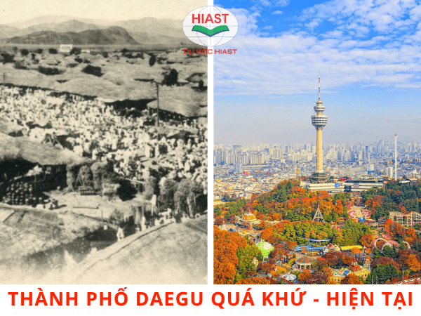 thành phố daegu của hàn quốc