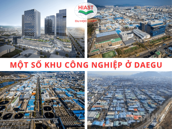 thành phố đô thị daegu