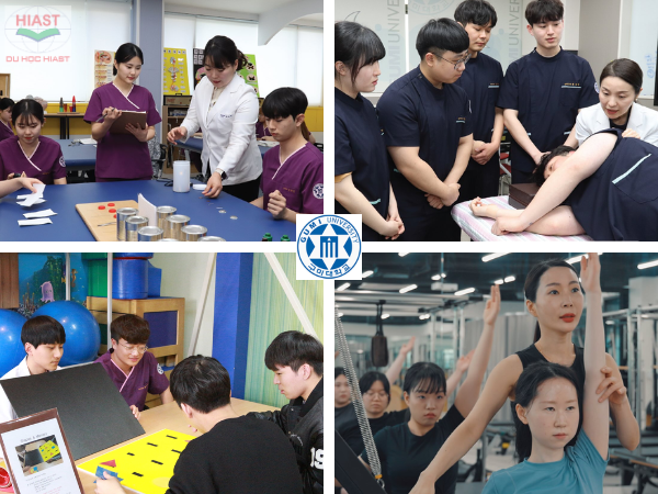 Trường Đại Học Gumi ngành học