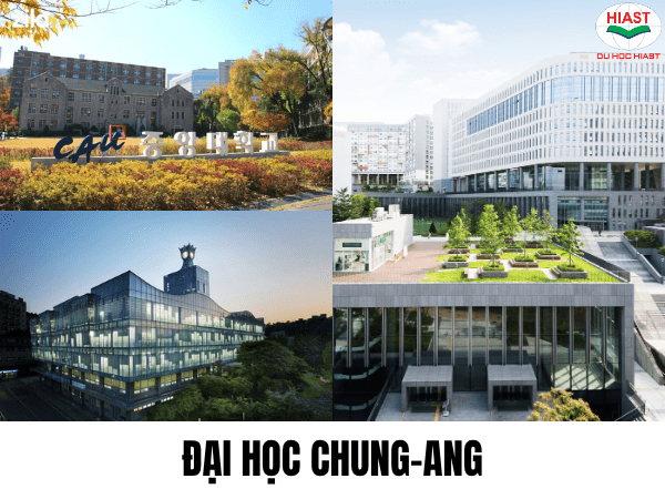 Trường đại học kinh tế ở Hàn Quốc