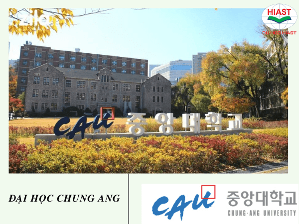 Các trường đào tạo marketing ở Hàn Quốc