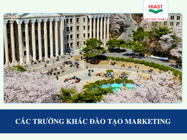 Các trường đào tạo ngành Marketing tại Hàn Quốc