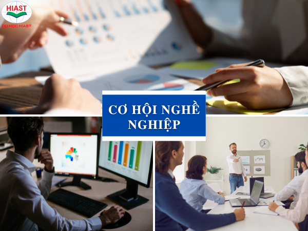 Cơ hội nghề nghiệp Du học Hàn Quốc ngành Marketing