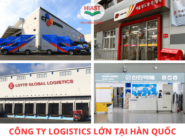 Công ty logistics Hàn Quốc