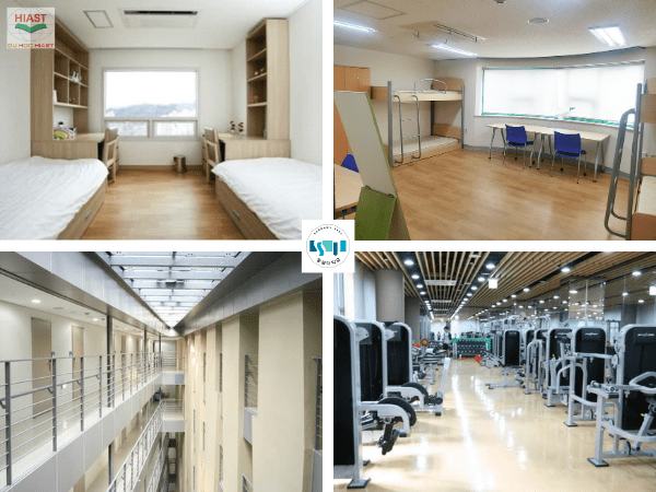 Đại học Soongsil có những ngành nào