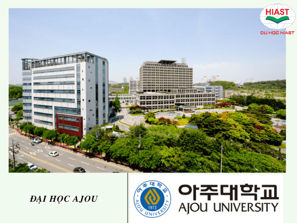 Du học Hàn Quốc ngành marketing nên chọn trường nào
