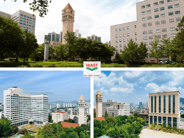 ngành truyền thông đa phương tiện học gì ở Hàn
