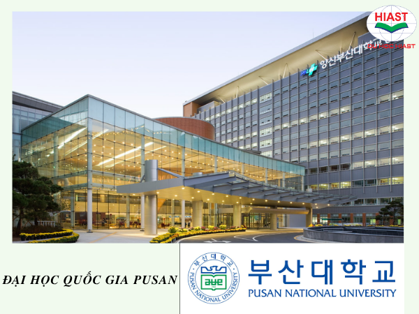Ngành Truyền thông marketing học trường nào ở Hàn Quốc