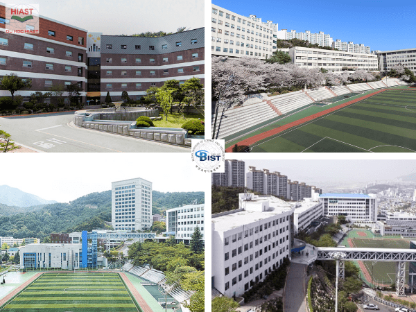 Đại Học Khoa Học Kỹ Thuật Busan