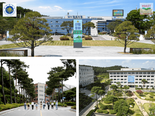 ĐẠI HỌC SEOJEONG