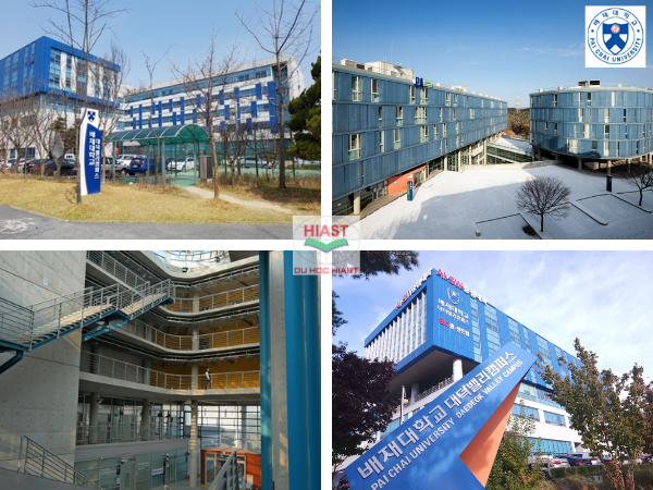 Điều kiện du học Đại học Pai Chai