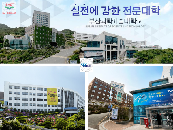 Trường Đại Học Khoa Học Kỹ Thuật Busan