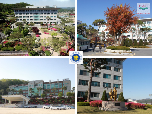 Trường Đại học Seojeong Hàn Quốc
