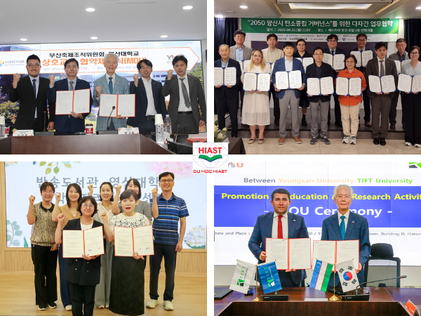 trường đại học youngsan busan