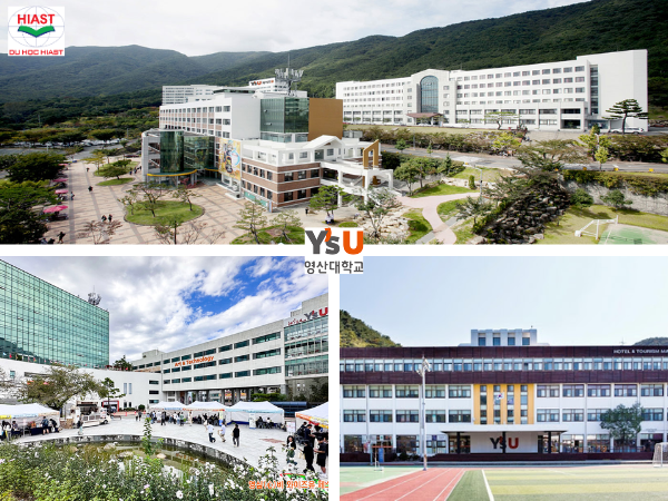 Trường Đại Học Youngsan