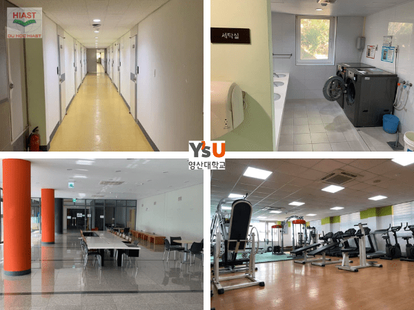 Youngsan University