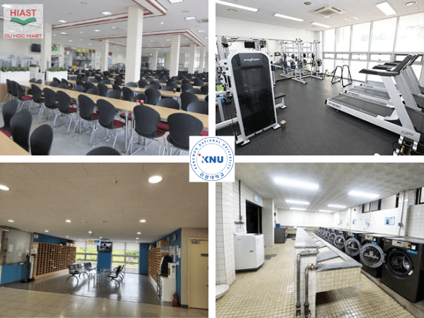 Đại Học Quốc Gia Kangwon top mấy