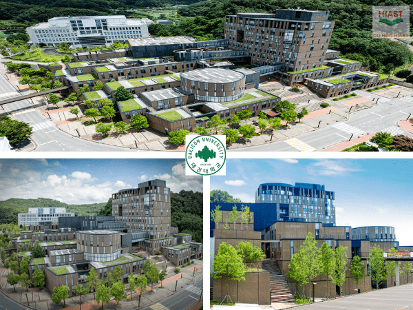 Trường Đại Học Daejeon