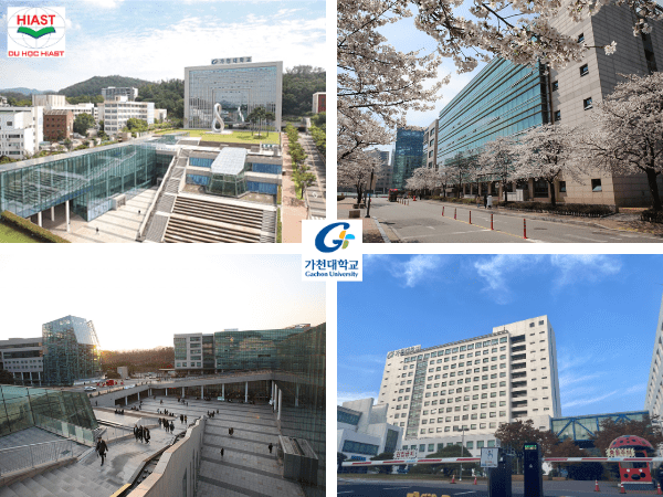 Trường Đại học Gachon