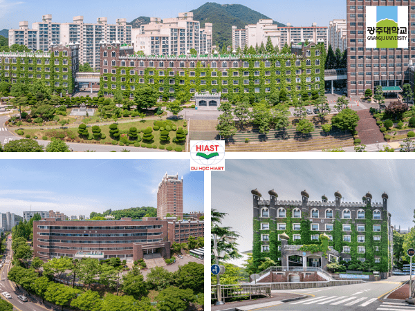 trường đại học gwangju hàn quốc