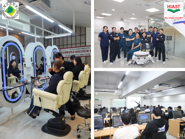 các ngành trường đại học daegu