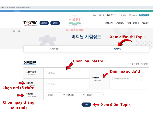 cách tra điểm topik