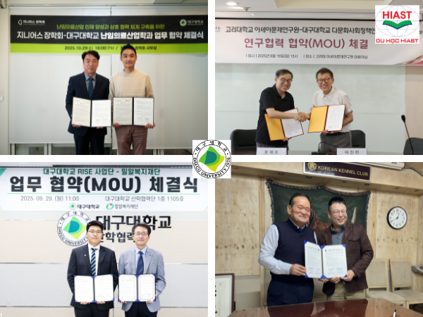 đại học daegu hàn quốc