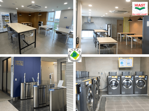 Đại học daegu hệ thạc sĩ