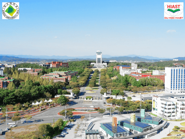 Đại Học Daegu