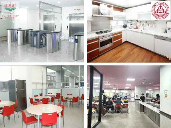 đại học sejong học phí