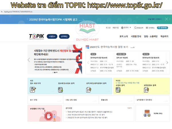 tra cứu điểm thi topik