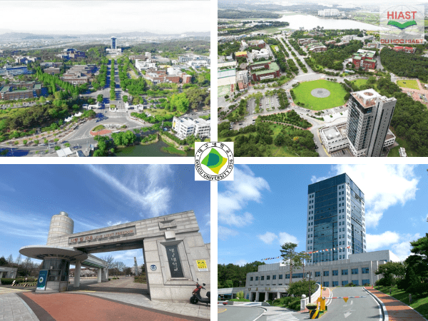 Trường Đại Học Daegu